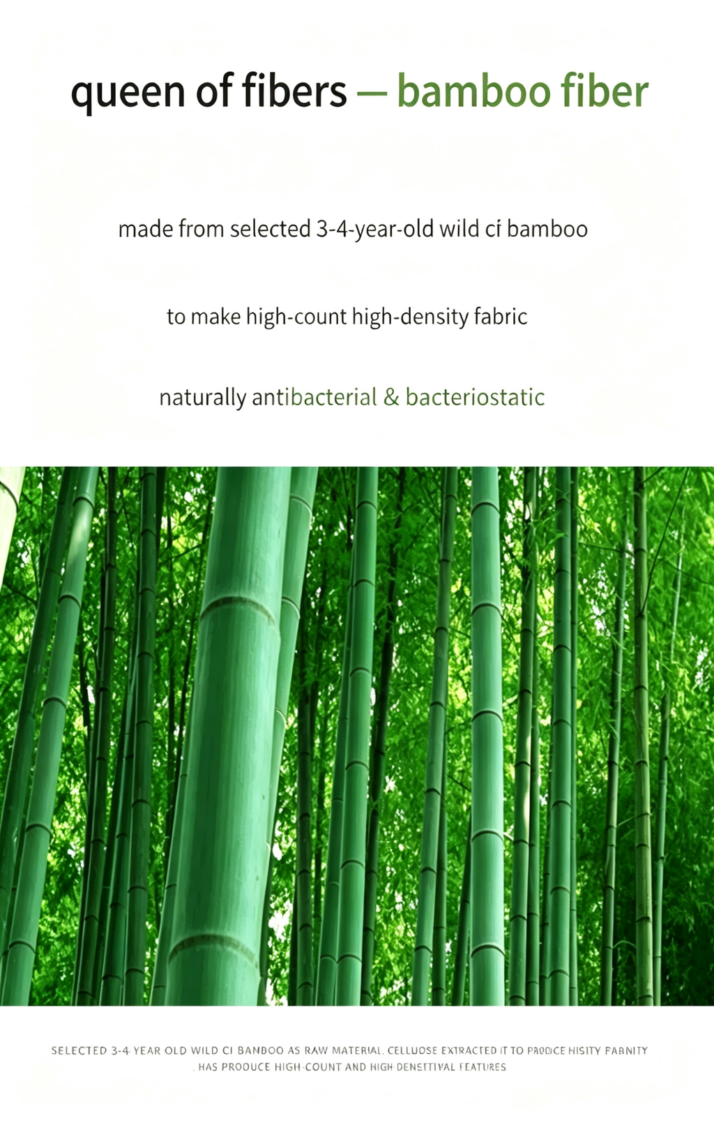 Bamboo Fiber Shirt
